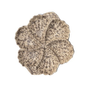 Hapjesschaal rond 35 cm taupe